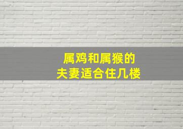 属鸡和属猴的夫妻适合住几楼