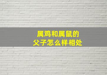 属鸡和属鼠的父子怎么样相处