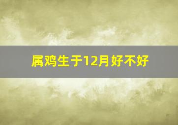 属鸡生于12月好不好