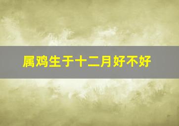 属鸡生于十二月好不好