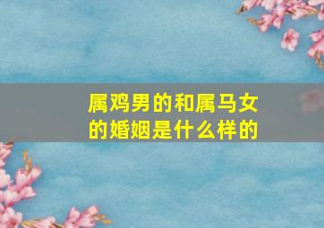 属鸡男的和属马女的婚姻是什么样的