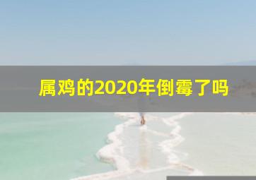 属鸡的2020年倒霉了吗