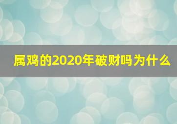 属鸡的2020年破财吗为什么