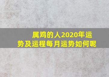 属鸡的人2020年运势及运程每月运势如何呢