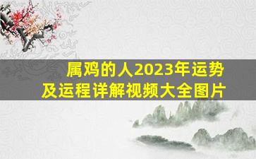 属鸡的人2023年运势及运程详解视频大全图片