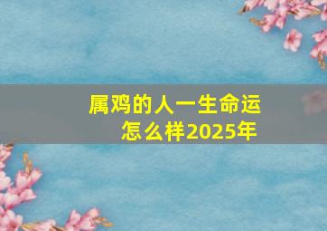 属鸡的人一生命运怎么样2025年