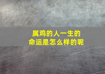 属鸡的人一生的命运是怎么样的呢