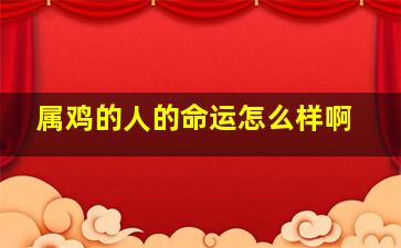 属鸡的人的命运怎么样啊