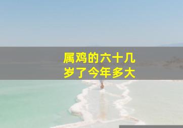 属鸡的六十几岁了今年多大