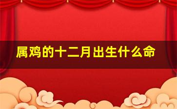 属鸡的十二月出生什么命