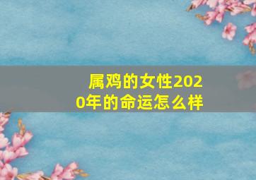 属鸡的女性2020年的命运怎么样