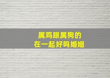 属鸡跟属狗的在一起好吗婚姻