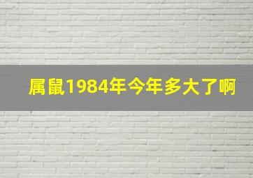 属鼠1984年今年多大了啊