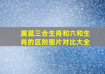 属鼠三合生肖和六和生肖的区别图片对比大全