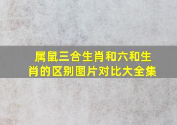 属鼠三合生肖和六和生肖的区别图片对比大全集