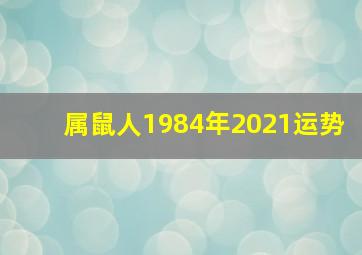 属鼠人1984年2021运势