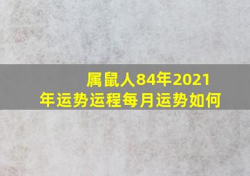 属鼠人84年2021年运势运程每月运势如何