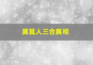 属鼠人三合属相