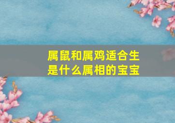 属鼠和属鸡适合生是什么属相的宝宝