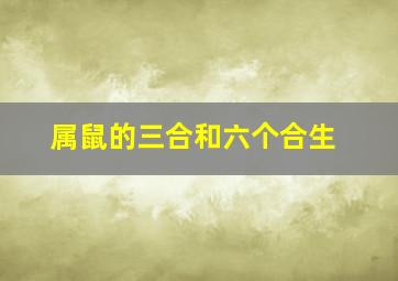 属鼠的三合和六个合生