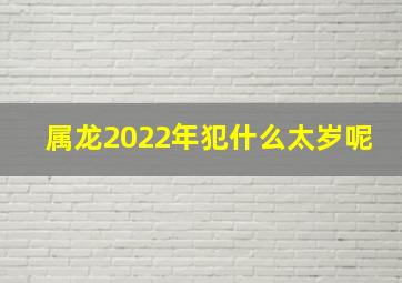 属龙2022年犯什么太岁呢