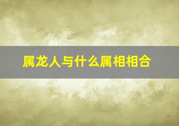 属龙人与什么属相相合