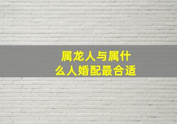 属龙人与属什么人婚配最合适