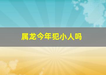 属龙今年犯小人吗