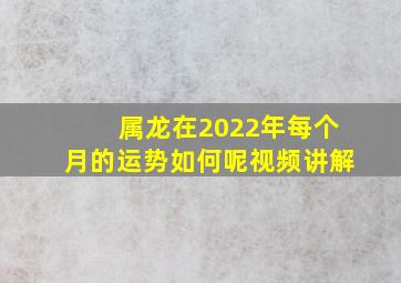 属龙在2022年每个月的运势如何呢视频讲解