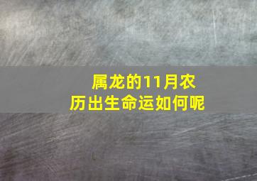 属龙的11月农历出生命运如何呢