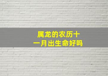 属龙的农历十一月出生命好吗