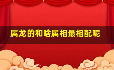 属龙的和啥属相最相配呢