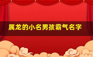 属龙的小名男孩霸气名字