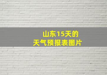 山东15天的天气预报表图片