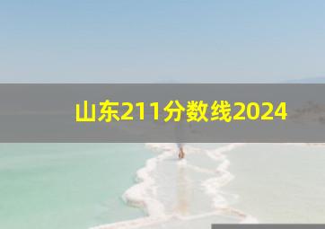 山东211分数线2024