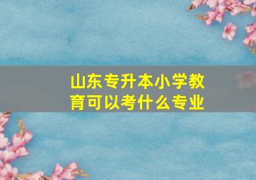 山东专升本小学教育可以考什么专业