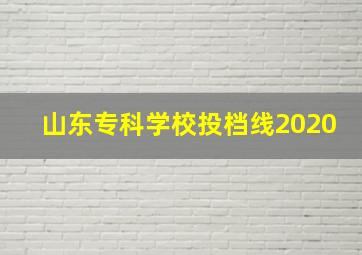 山东专科学校投档线2020