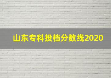 山东专科投档分数线2020