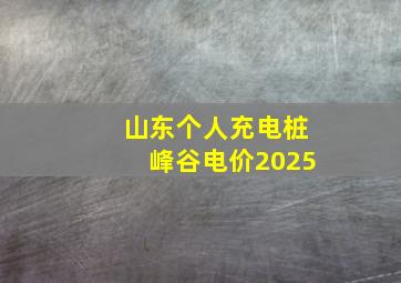 山东个人充电桩峰谷电价2025