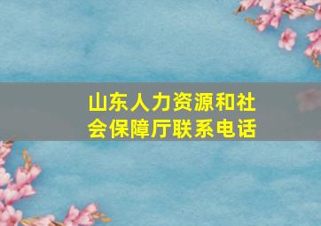 山东人力资源和社会保障厅联系电话