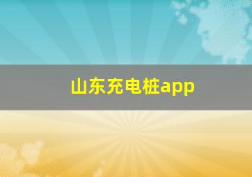 山东充电桩app