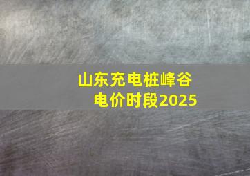 山东充电桩峰谷电价时段2025