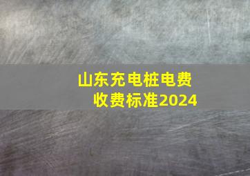 山东充电桩电费收费标准2024