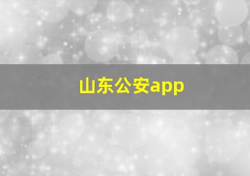 山东公安app