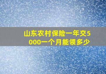 山东农村保险一年交5000一个月能领多少