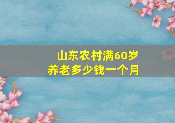 山东农村满60岁养老多少钱一个月