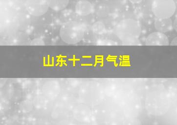 山东十二月气温