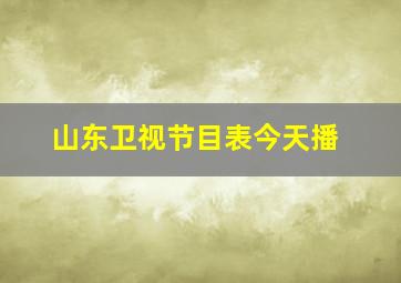 山东卫视节目表今天播