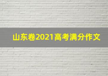 山东卷2021高考满分作文