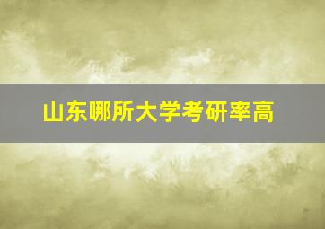 山东哪所大学考研率高